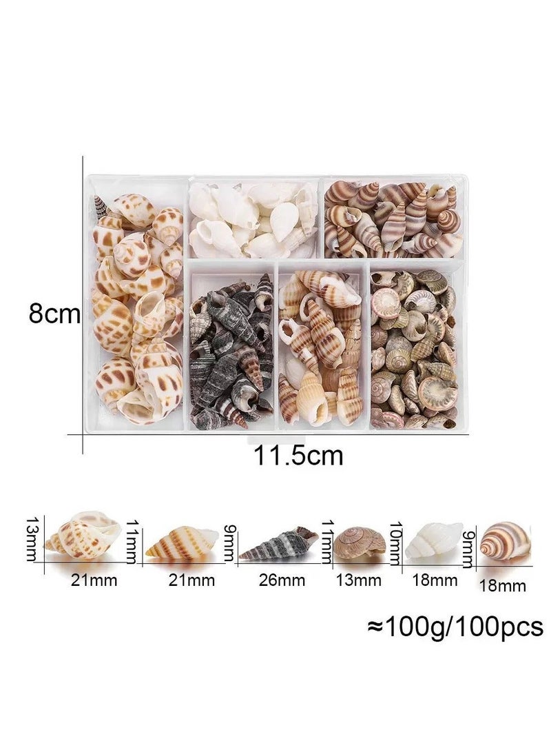 100PCS Open Back Natural Spiral Shell Beads, Spiral Conch Shells Charms, Beach Seashells Beads, Suitable For DIY Craft Jewelry Making ,Home Or Wedding Decoration - Image 1