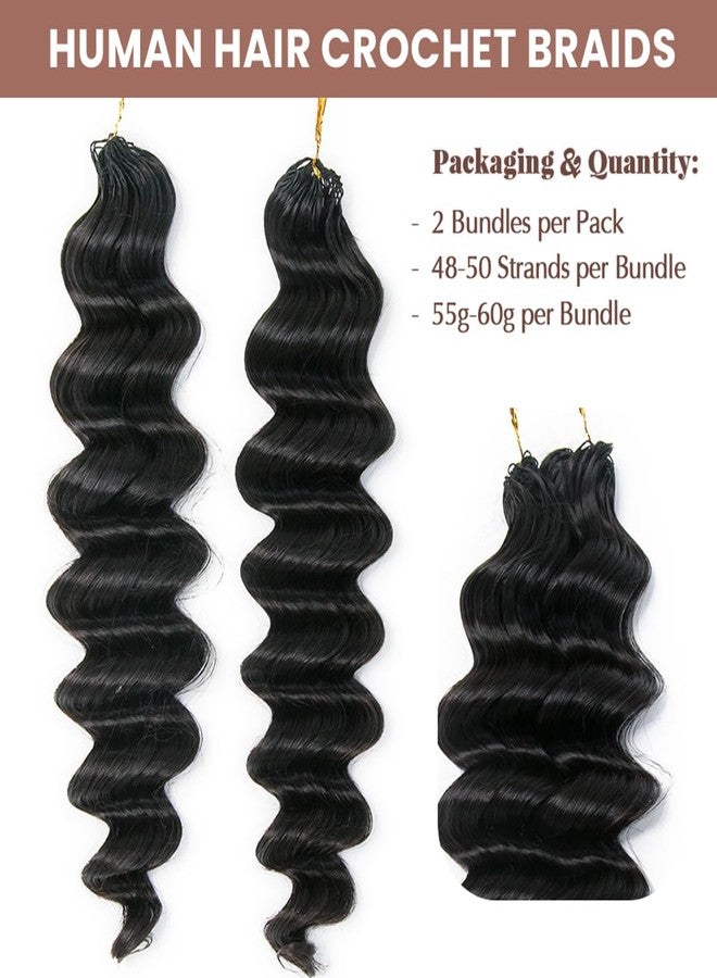 Y WIGS YWIGS Pre-Separated Human Crochet Hair Loose Deep Wave Crochet Hair Human Hair Knotless Crochet Human Hair Extensions 16" NC 100 Strands - Image 4