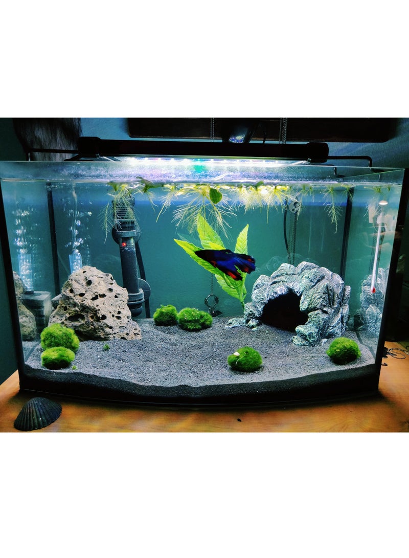 vsell24 Super Natural Black Sand 80-120µm: Ideal for Aquascaping, Water Filtration, Terrariums, Art & Craft, and Natural Aquarium Substrates  - Image 3