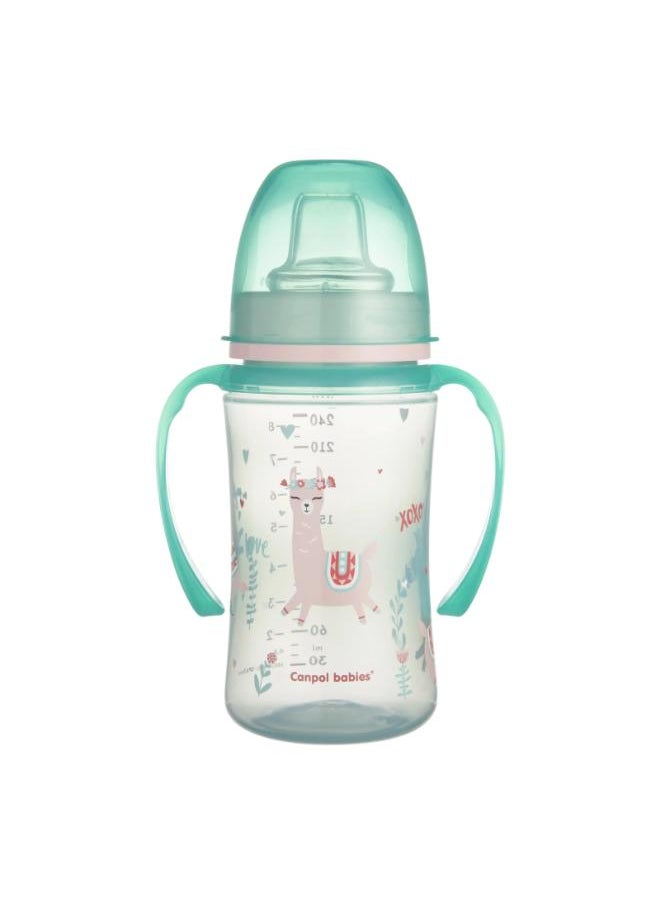 Cup 240 ml /+6months - pzsku/Z6FD7FA689B95BA011256Z/45/_/1714564734/625b4885-dbf2-4cec-bff3-6b3dd7cfb79b