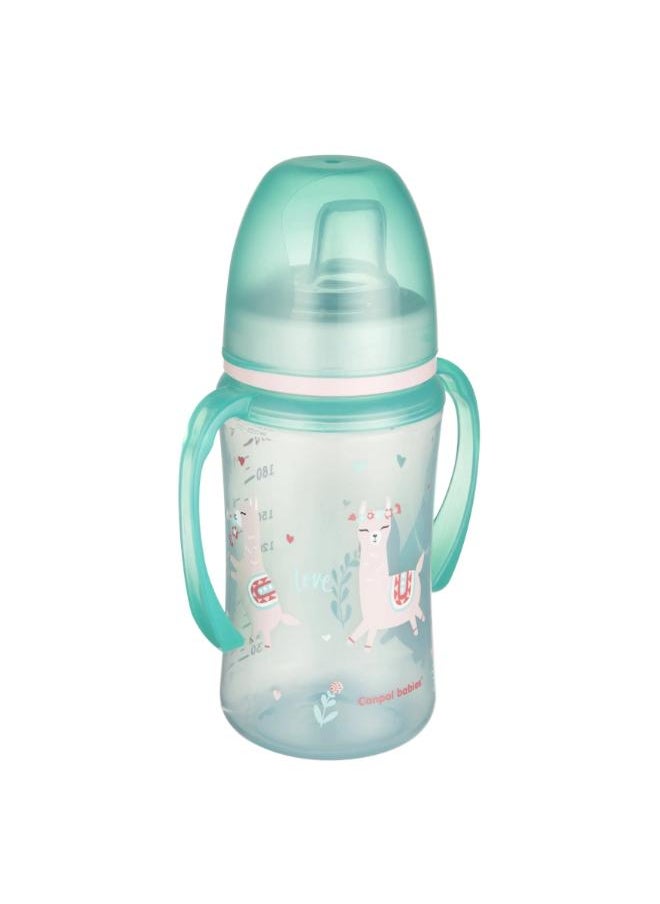 Cup 240 ml /+6months - pzsku/Z6FD7FA689B95BA011256Z/45/_/1714564735/572e4e66-c08c-4230-b2df-b95862a87900