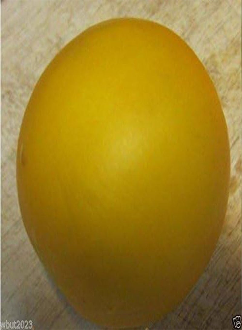 GGOOT Dosakai Melon Cucumber Seeds () Indian Round Yellow Cucumber !(25 Seeds) - Image 3