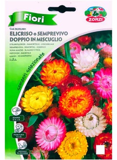 ZORZI Immortelle Seeds 