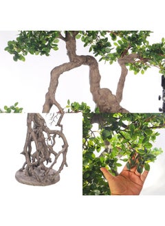 Yatai Decor Luxurious Potted Bonsai Tree Lifelike Artificial Plants with Pots, Enhance Your Living Space with Evergreen Elegance & Maintenance Free Fake Plants for Home Office Garden Decor (200 Cm) - pzsku/Z6FDC02E27EDC174946BCZ/45/_/1729834008/496d638c-668e-48d1-8c3d-20a55f430499