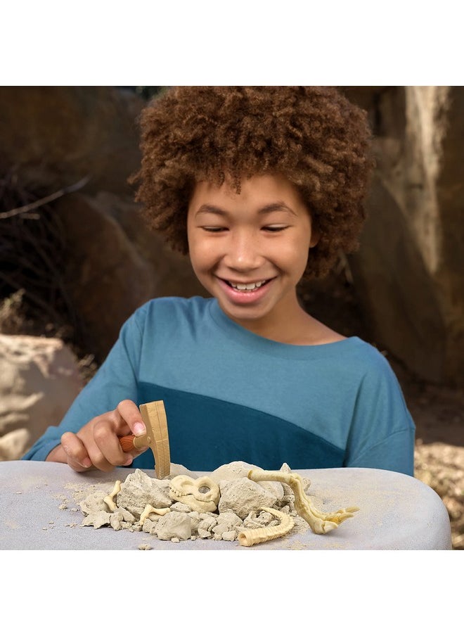 ROBO ALIVE - Dino Fossil Find Ankylosaurus By Zuru Excavate Dinosaur Fossils Digging Kit Collectible Toy With Slime Multicolor (7156E) - Image 1