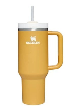 H2.0 FlowState Stainless Steel Vacuum Insulated Tumbler with Lid and Straw for Water, Iced Tea or Coffee, Smoothie and More, Yellow Glow, 40 oz - pzsku/Z6FDDE28B05115F9ABAE9Z/45/1746342643/f0ecccd8-f86d-4a6d-a86e-7a901cc97b49