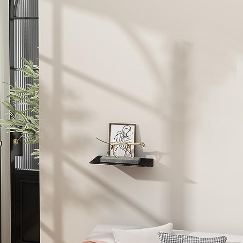 Danpoo Small Floating Shelf for Wall Storage, Mini Display Shelf for Collectibles, Metal Wall Shelf for Bathroom/Living Room/Kitchen/Bedroom(Black, 8") - Image 4