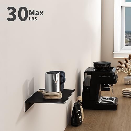 Danpoo Small Floating Shelf for Wall Storage, Mini Display Shelf for Collectibles, Metal Wall Shelf for Bathroom/Living Room/Kitchen/Bedroom(Black, 8") - Image 5