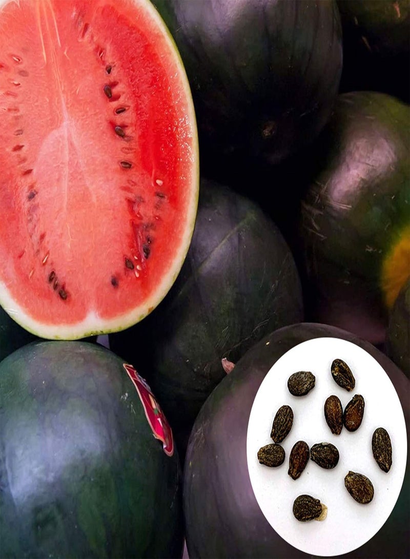 GGOOT 50Pcs/Bag Watermelon Seeds,Natural High Germination Crops Productive Melon Fruit Seeds for Planting Garden Yard Outdoor 1 Watermelon Seeds - Image 1