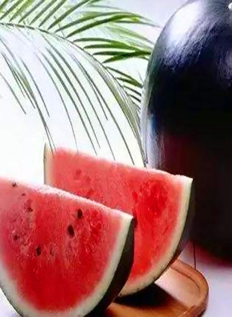 GGOOT 50Pcs/Bag Watermelon Seeds,Natural High Germination Crops Productive Melon Fruit Seeds for Planting Garden Yard Outdoor 1 Watermelon Seeds - Image 4