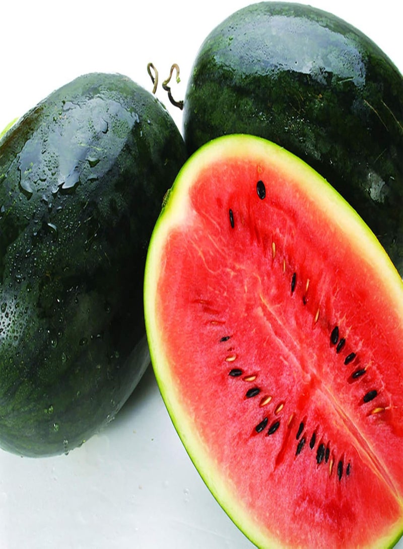 GGOOT 50Pcs/Bag Watermelon Seeds,Natural High Germination Crops Productive Melon Fruit Seeds for Planting Garden Yard Outdoor 1 Watermelon Seeds - Image 5