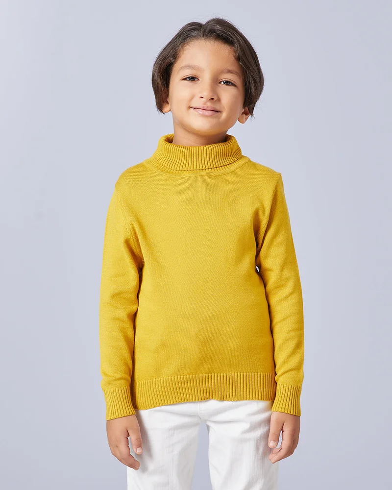 Redtag Junior Boys High Neck Sweater