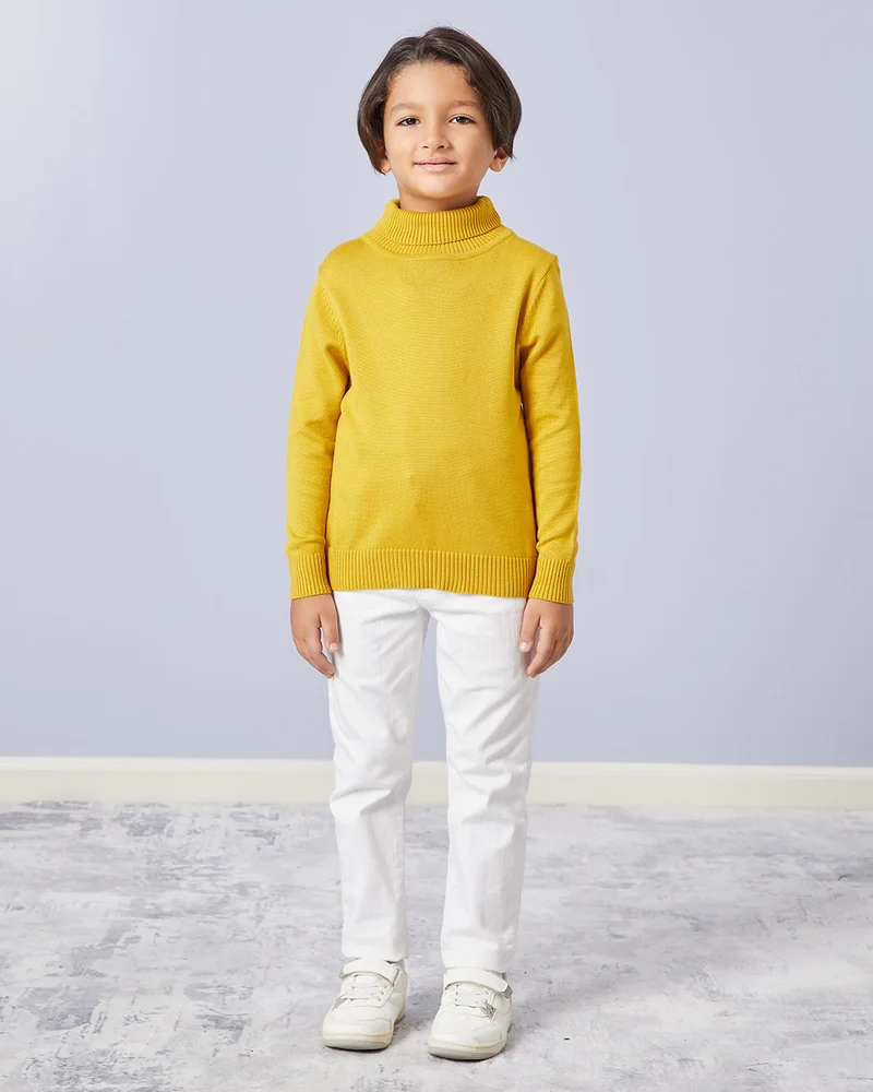 Redtag Junior Boys High Neck Sweater