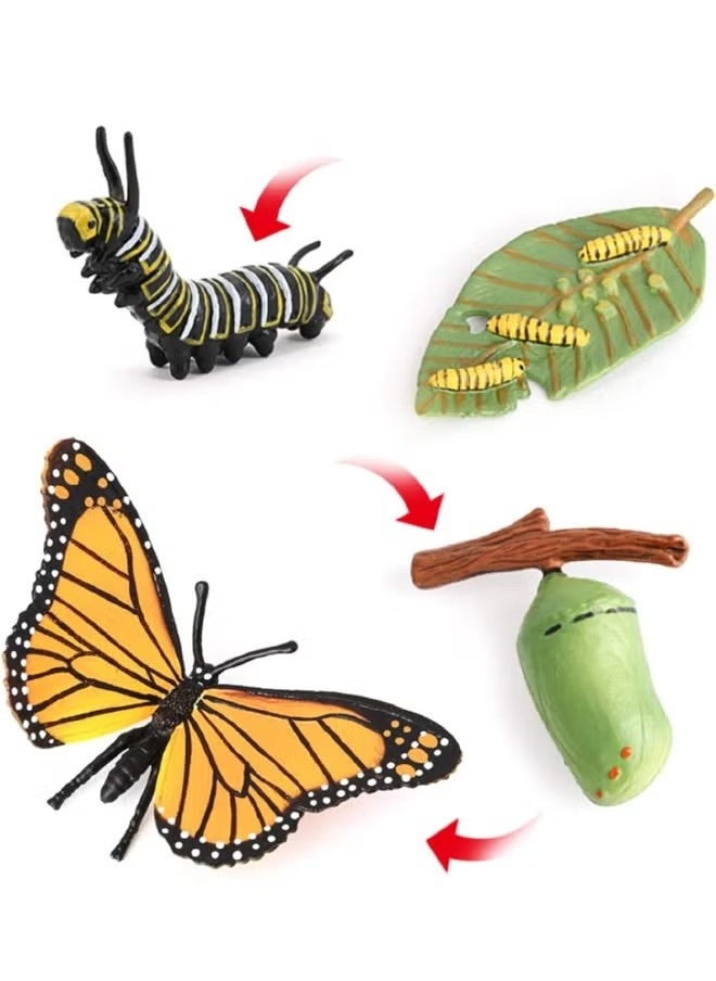 4-Piece Butterfly Growth Cycle Model Figure, Realistic Animal Figurines, Animal Growth Cycle Biological Model, Lifelike Butterfly Life Cycle Model Set for Kids Education, Learning Gifts, Party Favors - pzsku/Z6FDF0B9BC81CD0426FF2Z/45/_/1725528050/13bc3f12-2bfa-4dc7-a3dd-b96c4c0c267b