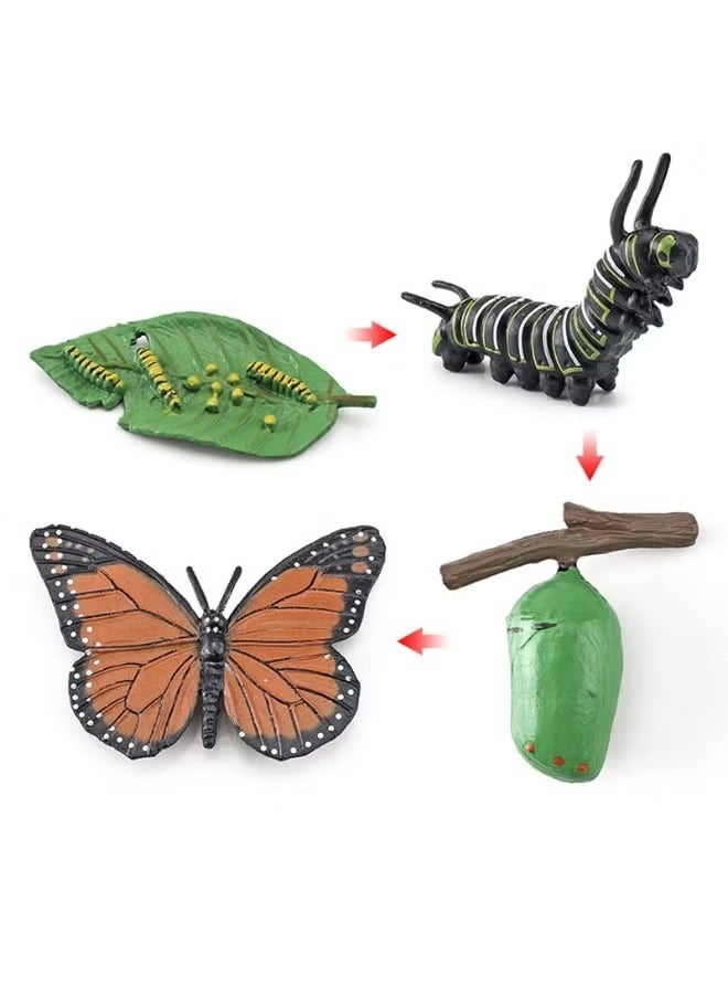 4-Piece Butterfly Growth Cycle Model Figure, Realistic Animal Figurines, Animal Growth Cycle Biological Model, Lifelike Butterfly Life Cycle Model Set for Kids Education, Learning Gifts, Party Favors - pzsku/Z6FDF0B9BC81CD0426FF2Z/45/_/1725528059/49bdb11a-3e63-4523-82d4-55014882cdbb