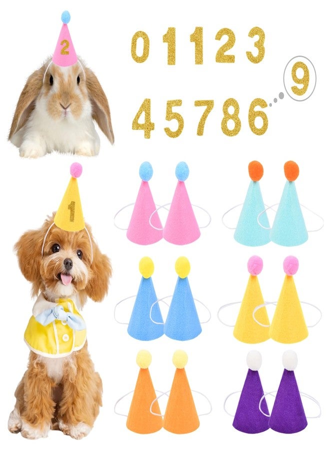 QZV 12pcs Mini Party Hats for Stuffed Animals，Pet Birthday Party Hats Dolls Dog Cat Rabbit Puppies Assorted Animal Birthday Decorations with Gold Numbers - Image 1