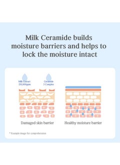 NACIFIC NACIFIC Jeju Uyu Cream Toner Facial Toner 5.07fl. oz. 150ml with Jeju Milk Extract Ceramide 5 Complex Moisture Lasting Natural Ingredients Korean Skin Care  - Image 4