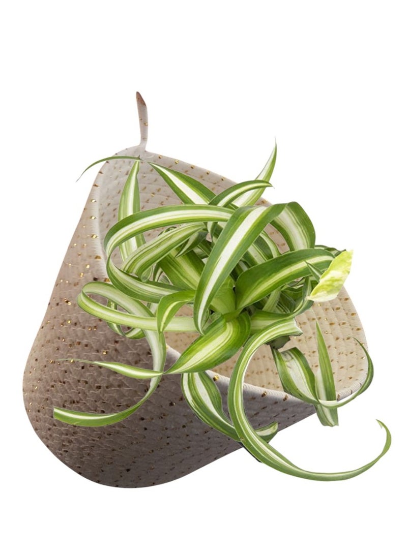 Hanging Basket Organizer made of Cotton Rope 22 cm - Image 4