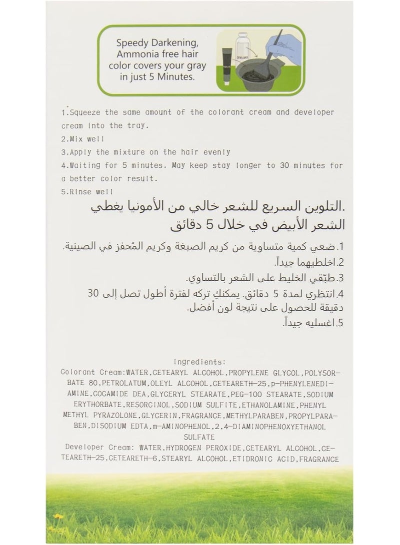 Global Star Apple Pro Ammonia Free Hair Color - Black - Image 3