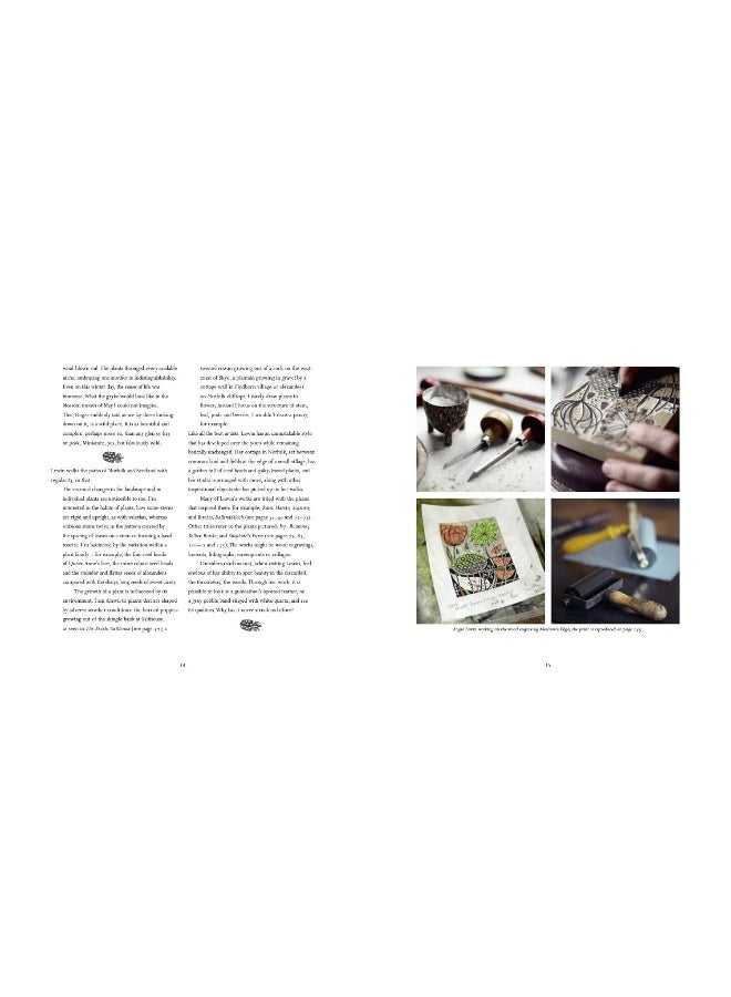 Angie Lewin: Plants and Places - Image 3