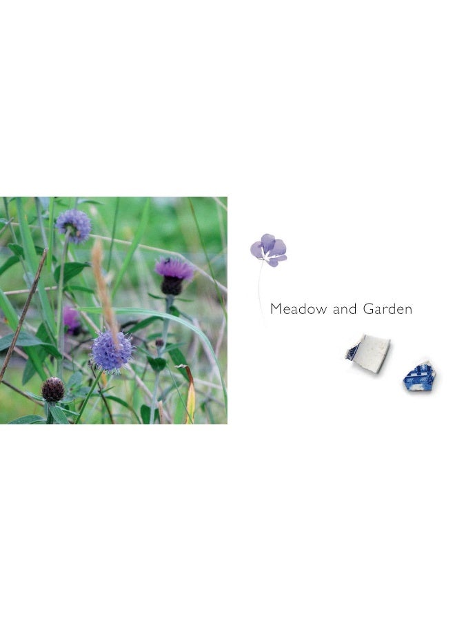 Angie Lewin: Plants and Places - Image 5