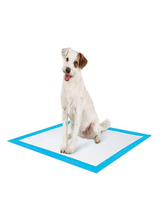 So Phresh Large Leak Guard Quilted Potty Pads Count of 100 - Image 3