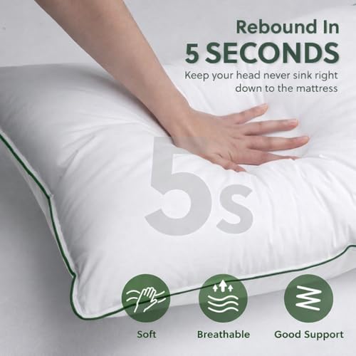 Nestro Premium Set of 2 Sleeping Pillow, Virgin Fiber Filled, 16x24 inch Size, Pure Cotton Fabric - Image 2
