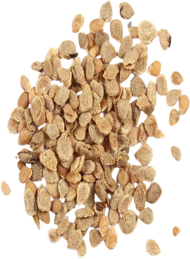 GGOOT Fruit Vegetables Plant Seeds 100Pcs/Bag Vegetable Seeds Nutritious Tasty Sweet Small Cherry-Sized Tomatoes Seeds for Home - Tomato Seeds - Image 5