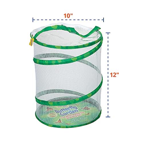 Insect Lore حديقة الفراشات من إنسيكت لور مع كوبين من اليرقات الحية | موطن أصلي، دفتر STEM، سجلات احتجاز الشرنقة، 10 يرقات حية | فراشات السيدة المطلية | تعليم علوم الحياة - Image 2