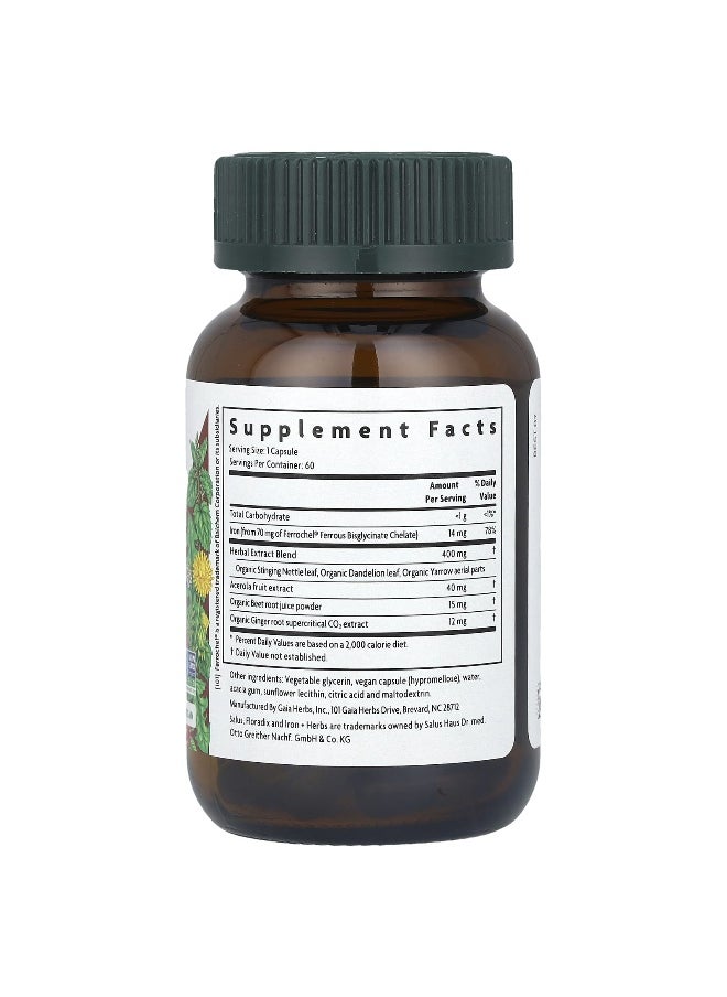 Floradix - Floradix, Floradix® Iron + Herbs, 60 Liquid Phyto-Caps - Image 1