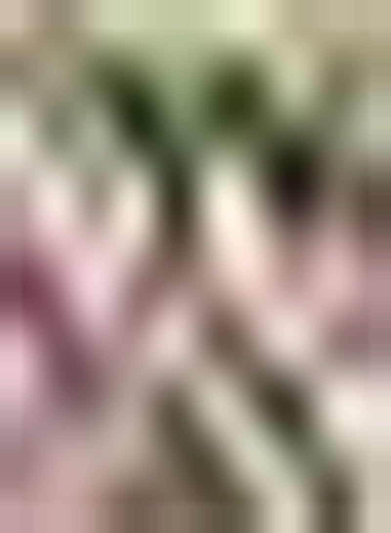 GGOOT 200pcs Gemengde Kleur Cosmos Zaden Binnen Buiten Groeien Gemakkelijk Instapniveau Bloemen Decor Bloembedden Gesneden Bloem Boeketten Ingemaakte Versieringen - Image 1