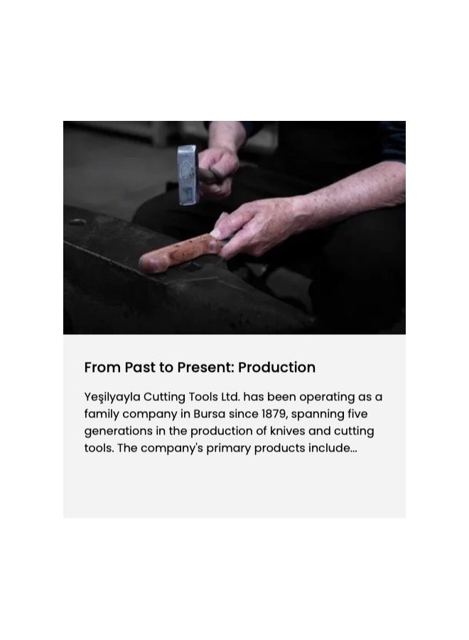 PiRGE CATERPRO CHEF KNIFE 25 CM WIDE BLUE - Image 3