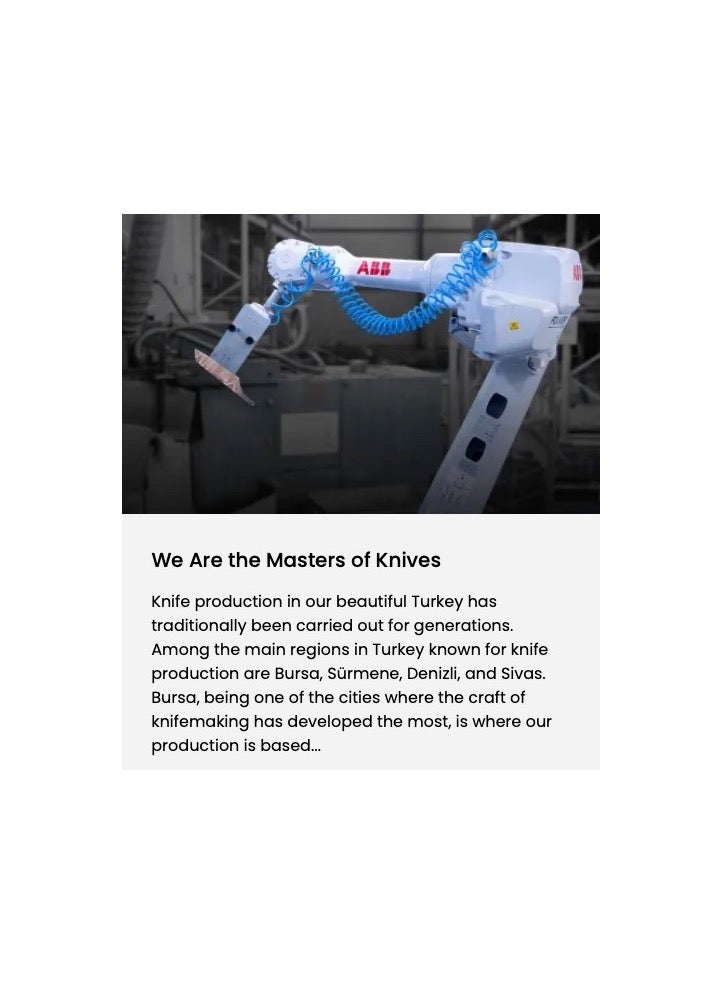 PiRGE CATERPRO CHEF KNIFE 25 CM WIDE BLUE - Image 4