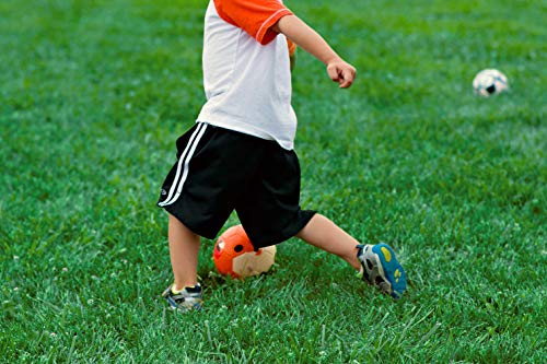 Daball Kid and Toddler Soccer Ball - Size 1 and Size 3, Pump and Gift Box Included (Size 1, Terry, The Fox) - Image 4