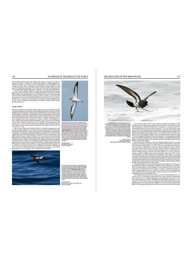 Handbook of the Birds of the World - Special Volume: New species and Global Index - Image 5