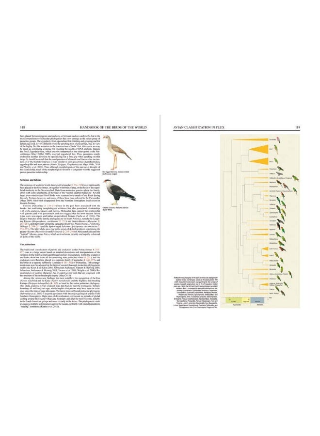 Handbook of the Birds of the World - Special Volume: New species and Global Index - Image 4