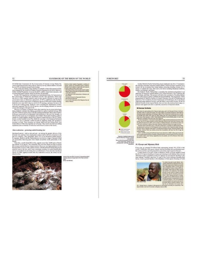 Handbook of the Birds of the World - Special Volume: New species and Global Index - Image 3