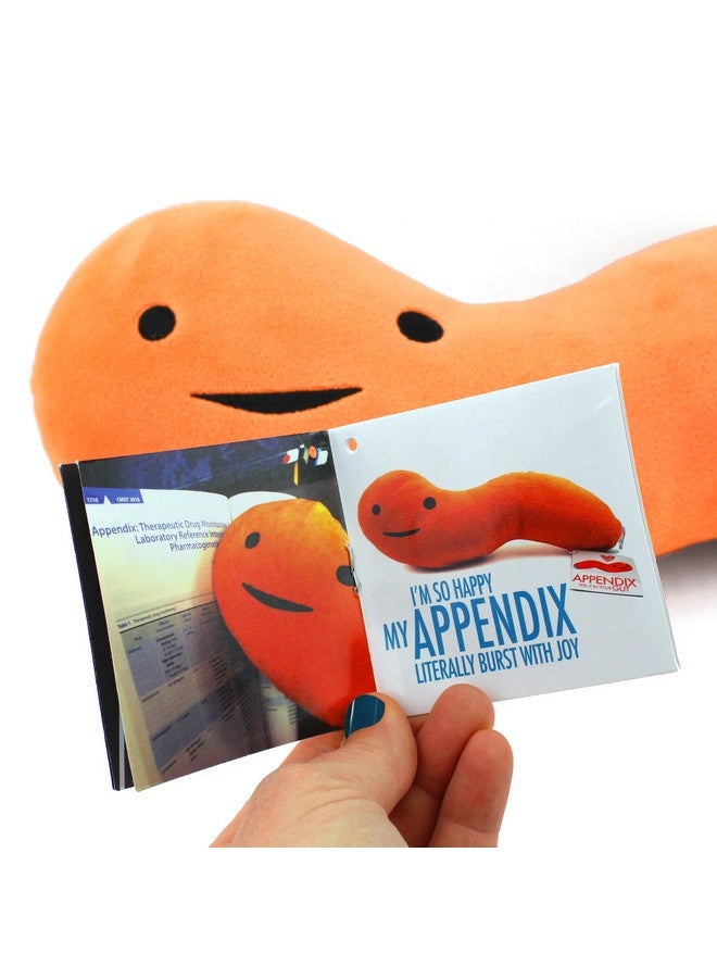 I Heart Guts Appendix Plush - Feel It In Your Gut - 14" Stuffed Organ Plush Toy, Appendix Removal Get Well Gifts, Ideal For Appendicitis, Kids, Nurses, Medical Students,Surgery - Image 5