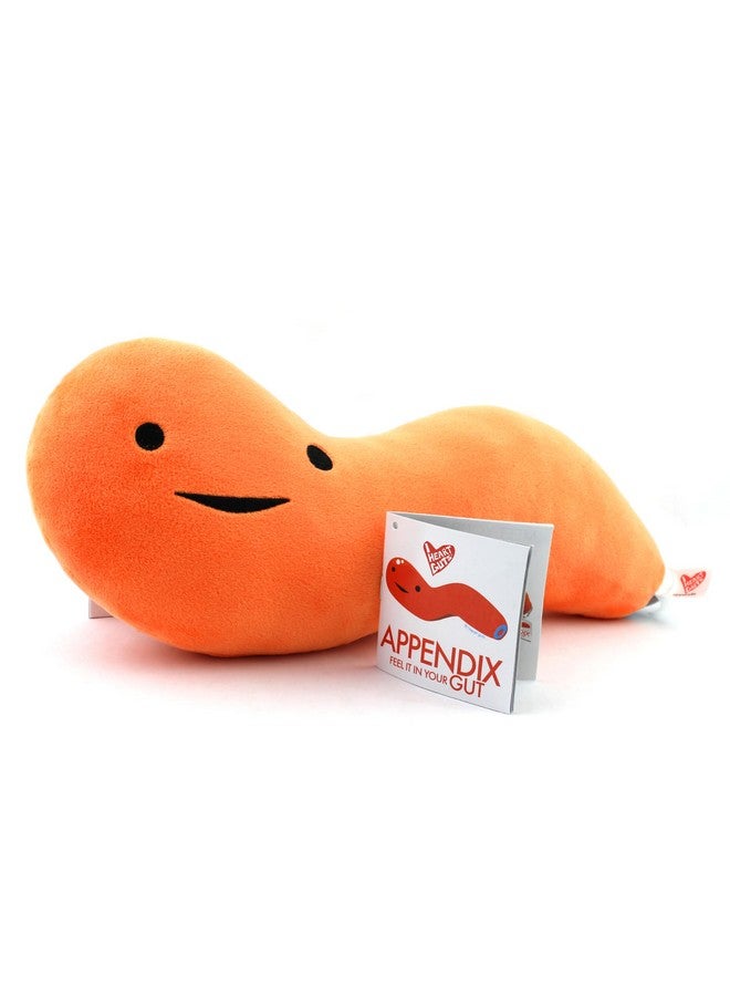 I Heart Guts Appendix Plush - Feel It In Your Gut - 14" Stuffed Organ Plush Toy, Appendix Removal Get Well Gifts, Ideal For Appendicitis, Kids, Nurses, Medical Students,Surgery - Image 3