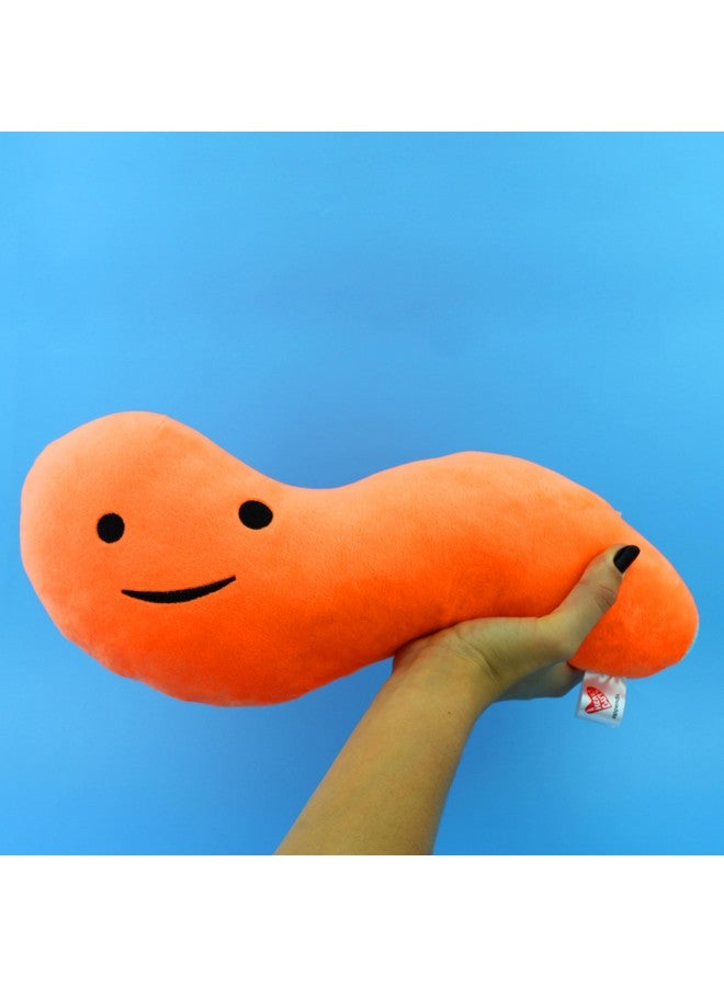 I Heart Guts Appendix Plush - Feel It In Your Gut - 14" Stuffed Organ Plush Toy, Appendix Removal Get Well Gifts, Ideal For Appendicitis, Kids, Nurses, Medical Students,Surgery - Image 2
