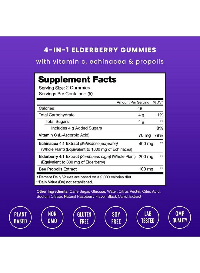 NutraChamps NutraChamps Elderberry Gummies, Sambucus Elderberry Gummies for Adults & Kids, Vitamin C, Propolis & Echinacea, Max Strength Immune Support Gummies, Natural Berry Flavor, 120 Gummies (Pack of 2) - Image 2