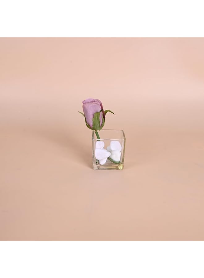 إيروريكس مزهرية زجاجية صغيرة مربعة شفافة - Image 1