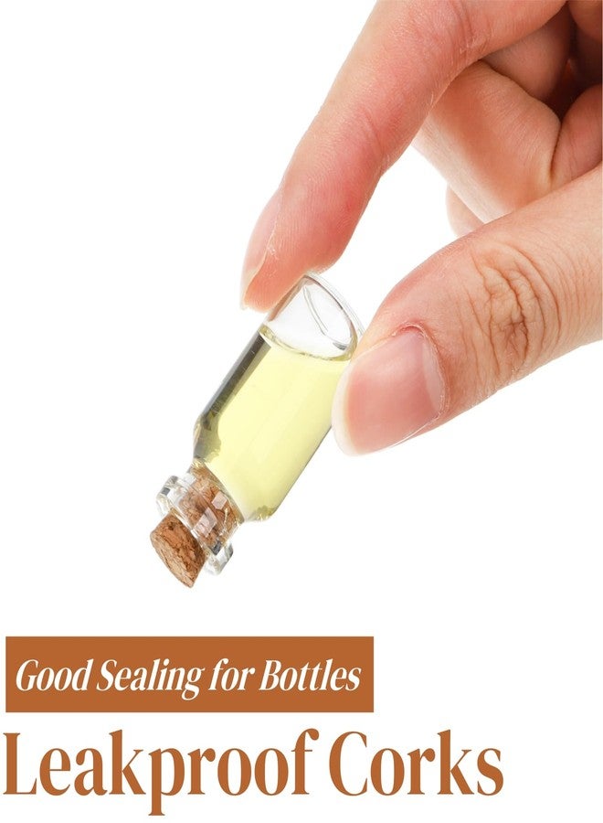 Eorbow عبوات إيوربو 500 قطعة من سدادات الفلين الصغيرة، سدادات زجاجات صغيرة مدببة، أغطية زجاجات زجاجية قابلة لإعادة الاستخدام لمشاريع الحرف اليدوية (0.4 × 0.3 بوصة) - Image 3