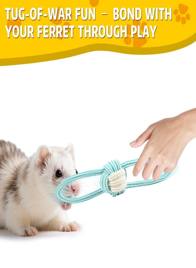 howaukf 15 Pack Ferret Chew Toys & Accessories Bell Balls, Squeaky Teething Toys & Plush Sound Toys for Interactive Play for Ferrets, Cats, Dogs & Small Animals - Image 2