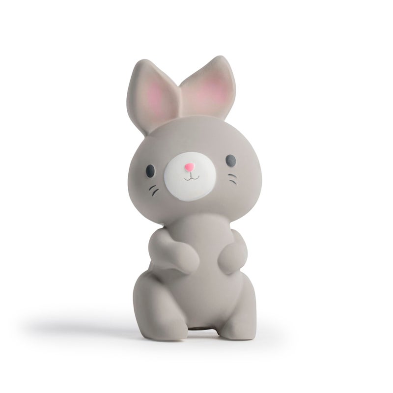 ingenuity Sylvi Natural Rubber Baby Teether Toy Rabbit Teething Toy for Sore Gums 06 Months Soft Sensory Chew Toy Easy to Grasp for Infants 0 Months Gender Neutral - Image 2