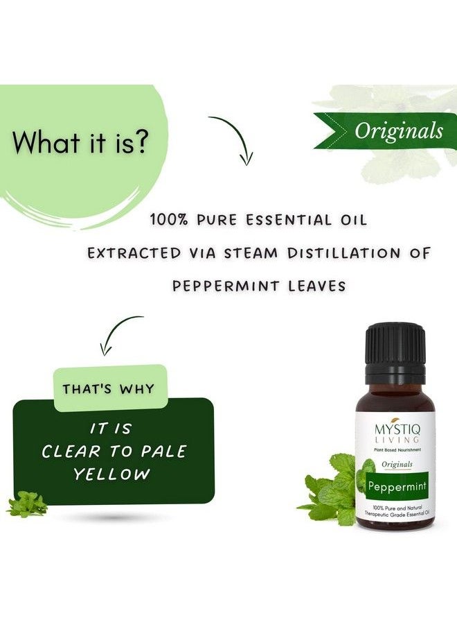 MYSTIQ LIVING Originals Peppermint Essential Oil 100% Pure Natural Undiluted & Therapeutic Grade For Hair Growth Skin Face Cold Congestion 15Ml  - Image 3