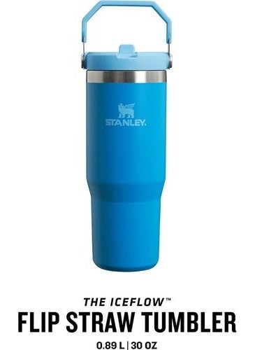 The IceFlow Flip Straw Thermos Cup with Straw 0.89 LT Blue - pzsku/Z6FF170D304E456273B52Z/45/_/1735907287/96d5ed1d-2c19-4fd1-8095-303ee1ebbaaa