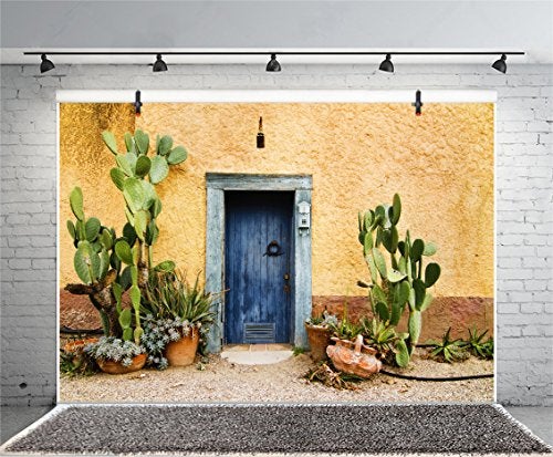 Leyiyi 7x5ft Photography Background Mexico Cactus Backdrop Western Building Life Desert Plant Saguaro Grunge Stone Wall Flowerpot Oilpainting Garden Door Cowboy Photo Portrait Vinyl Studio Video Prop - Image 1