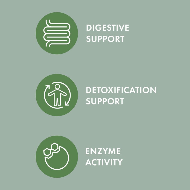 Dr. Mercola Bark & Whiskers Organic Fermented Mushroom Blend - Cat & Dog Supplement - Supports Digestive & Immune Health - Free from Additives, Filler & Gluten - 2.11 oz. (60 Scoops) - Image 5