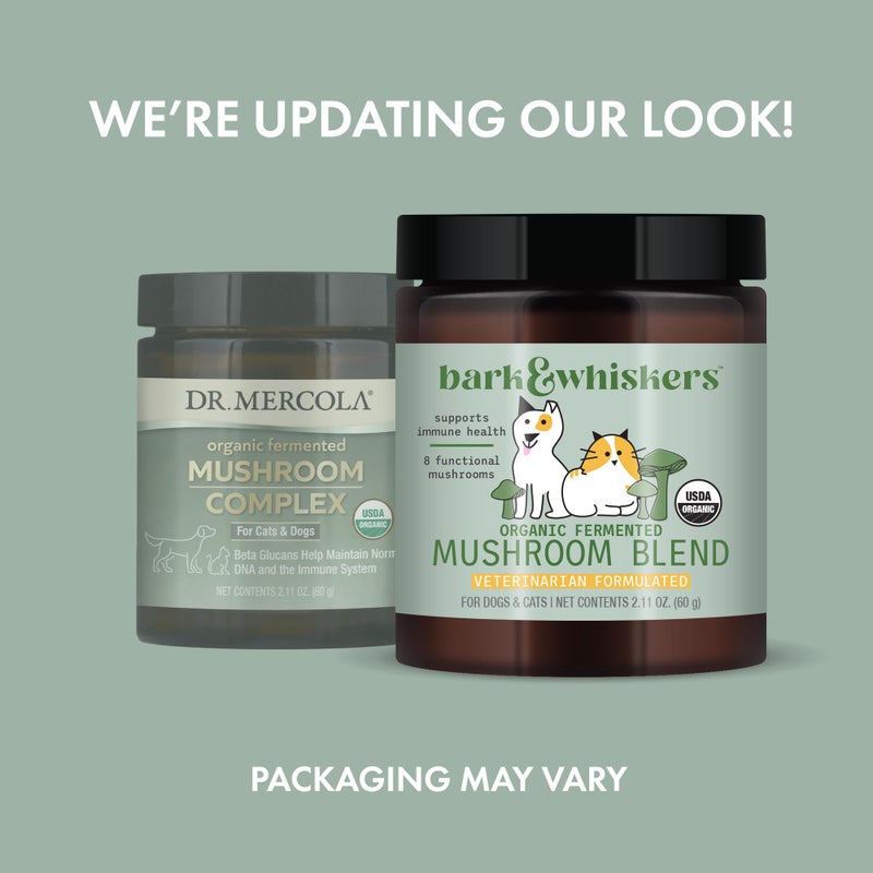 Dr. Mercola Bark & Whiskers Organic Fermented Mushroom Blend - Cat & Dog Supplement - Supports Digestive & Immune Health - Free from Additives, Filler & Gluten - 2.11 oz. (60 Scoops) - Image 2